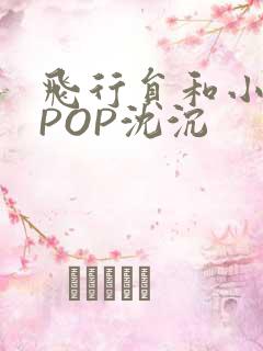 飞行员和小空乘POP沈沉