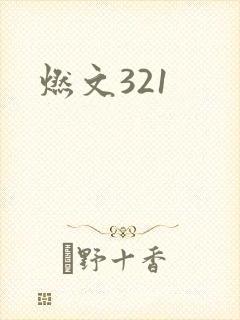 燃文321