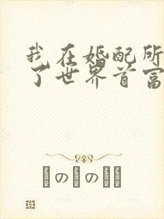 我在婚配所摇到了世界首富小说