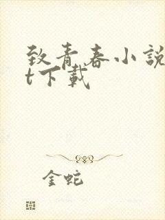 致青春小说txt下载