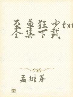 至尊狂少txt全集下载