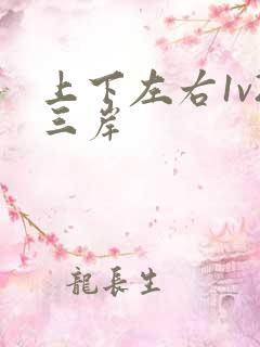 上下左右1v2三岸