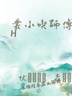 丛小吃师傅的HH