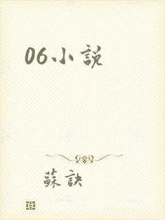 06小说