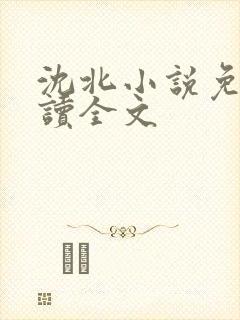 沈北小说免费阅读全文