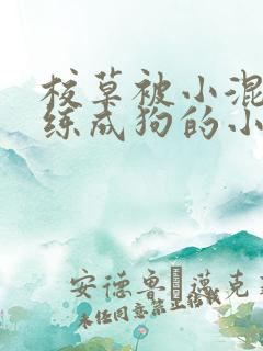 校草被小混混训练成狗的小说