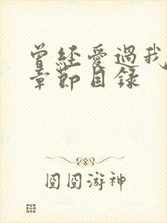 曾经爱过我刘念章节目录