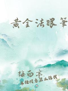 黄金法眼笔趣阁