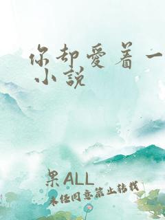 你却爱着一个他 小说