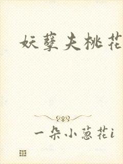 妖孽夫桃花妻