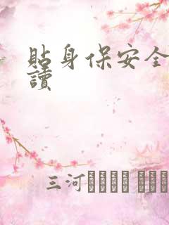 贴身保安全文阅读