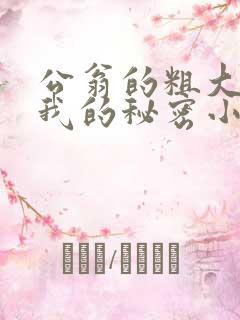 公翁的粗大放进我的秘密小说
