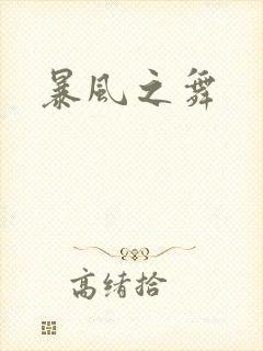 暴风之舞