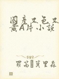 国产又色又爽又黄A片小说