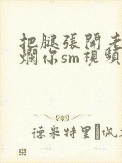把腿张开老子臊烂你sm视频