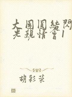 大团圆结闪闪发光亲情会1