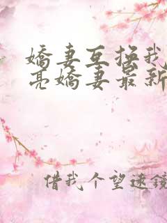 娇妻互换我的漂亮娇妻最新章节