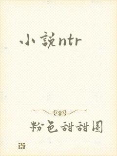 小说ntr