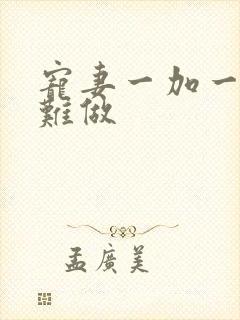 宠妻一加一老婆难做