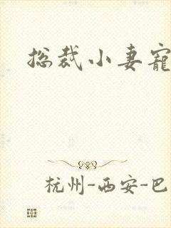 总裁小妻宠上天