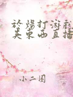 于炀打游戏下面夹东西直播