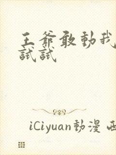 王爷敢动我妈咪试试