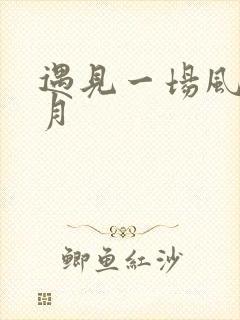 遇见一场风花雪月