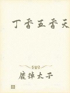 丁香五香天麻豆