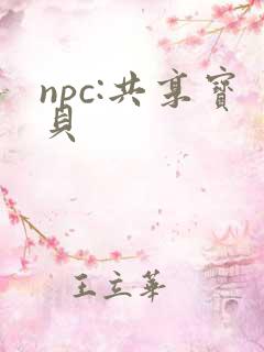 npc:共享宝贝