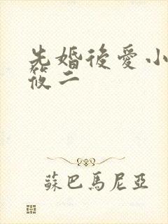 先婚后爱小说梦筱二