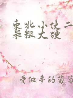 东北小伙二十厘米粗大硬