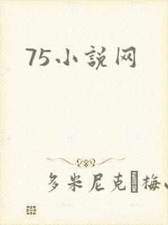 75小说网
