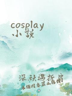 cosplay小说