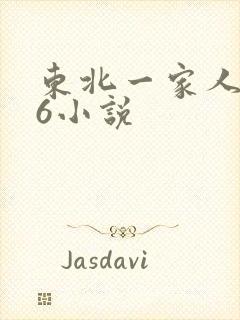 东北一家人1一6小说