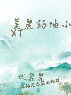 美丽的他小说TXT