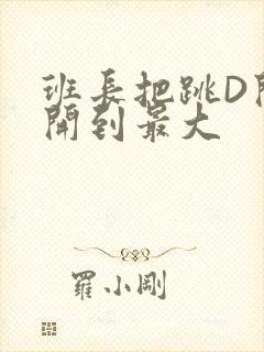 班长把跳D开关开到最大