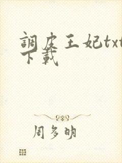 调皮王妃txt下载