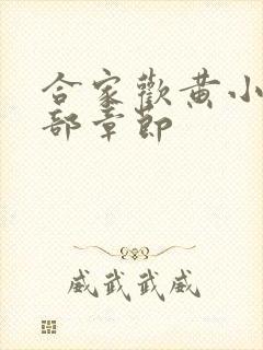 合家欢黄小梅全部章节