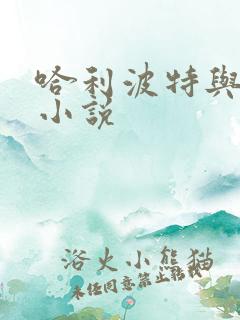 哈利波特与密室小说