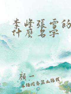 李峰张雪的书叫什么名字