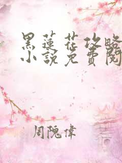 黑莲花攻略手册小说免费阅读全文