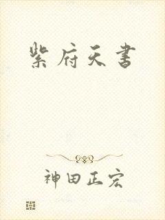 紫府天书