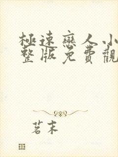 极速恋人小说完整版免费观看