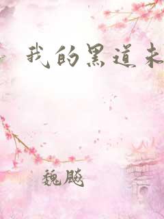 我的黑道未婚夫