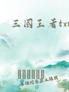 三国王者txt