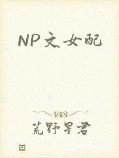 NP文女配