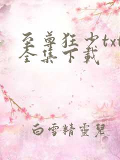 至尊狂少txt全集下载