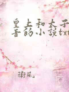 皇上和太子妃沈音的小说txt