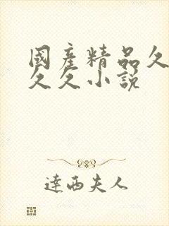 国产精品久久久久久小说