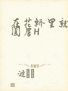 在花轿里就开始圆房H